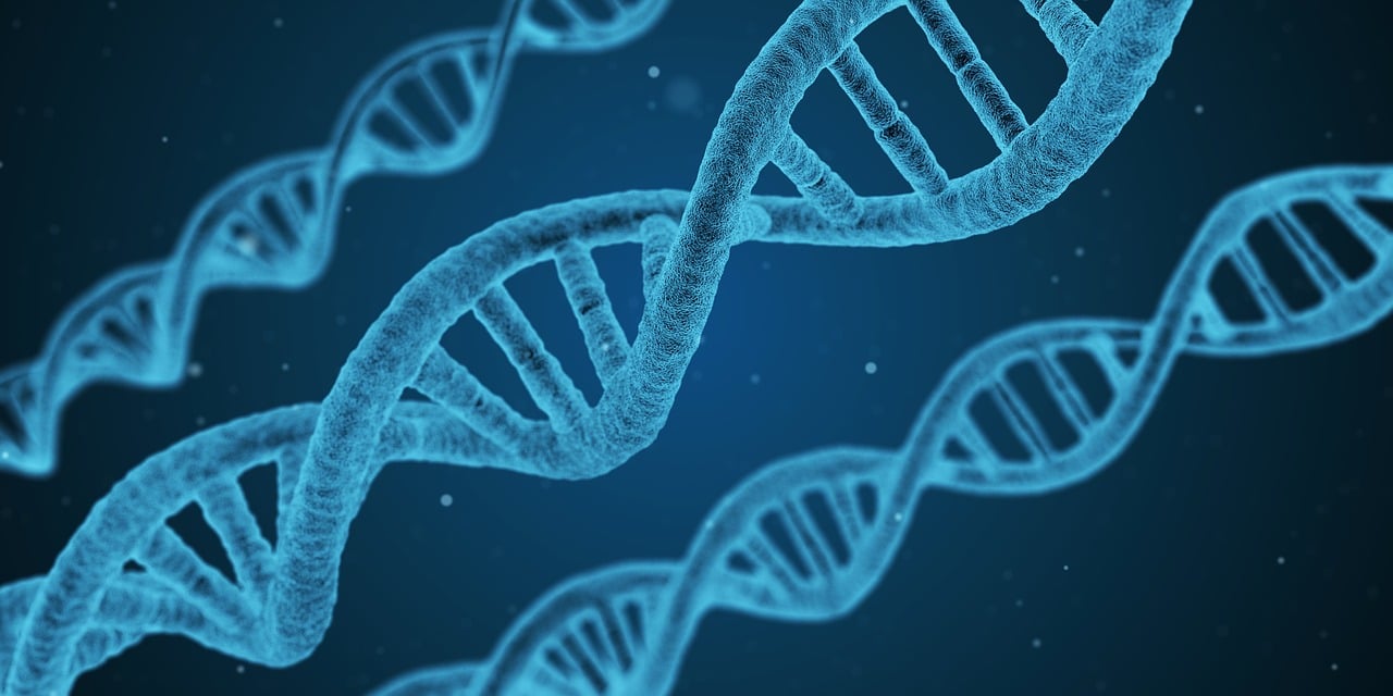 科伦药业(002422)：主业稳健 合成生物新品、创新药多轮驱动增长