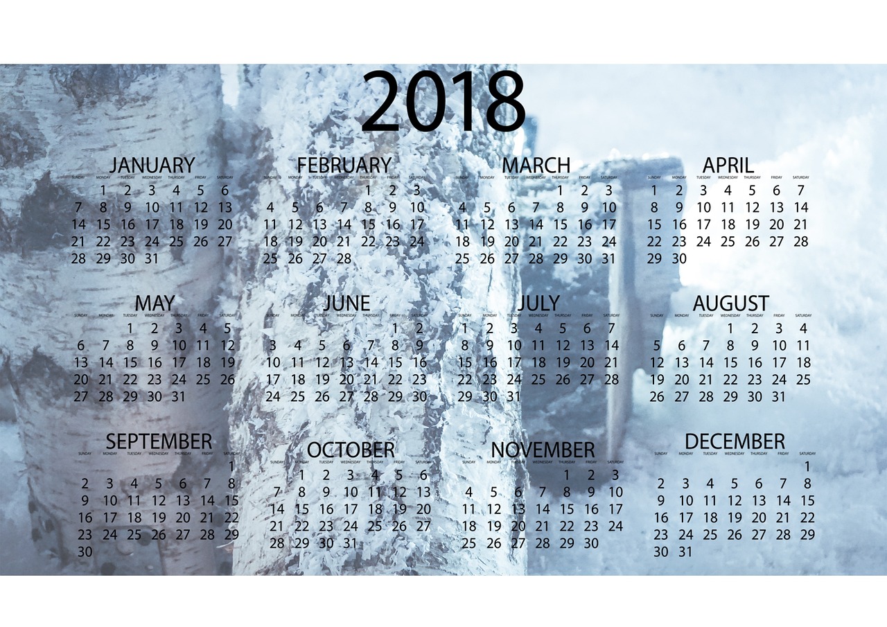 纳思达:纳思达股份有限公司并购重组财务顾问专业意见附表第2号――重大资产重组