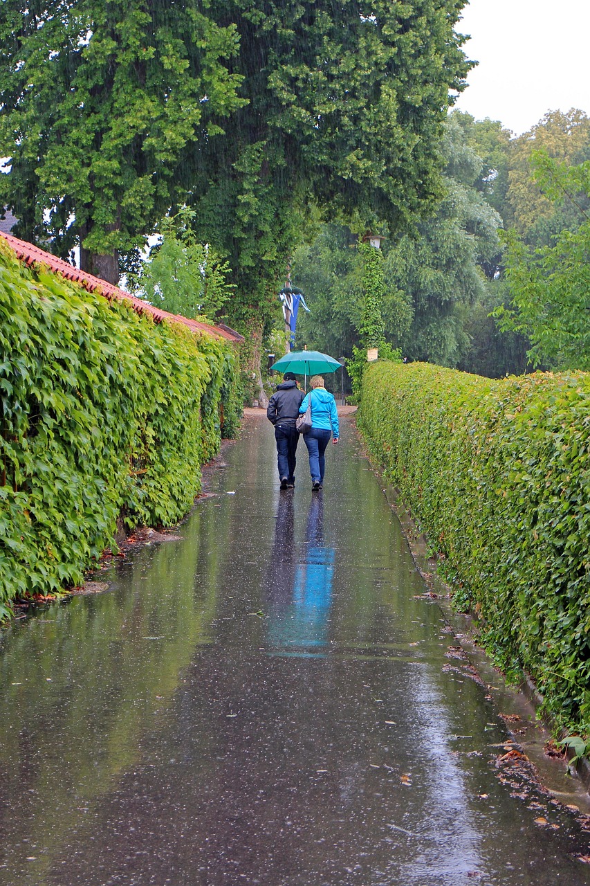 疫情下的阴雨季节，挑战与坚韧