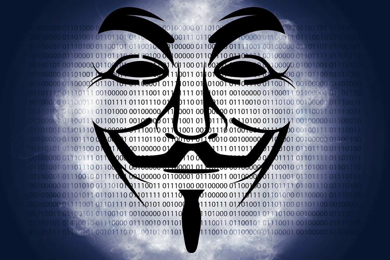 金多宝833933，财富的秘密密码