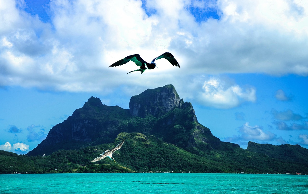 天体营海外滩教学之旅