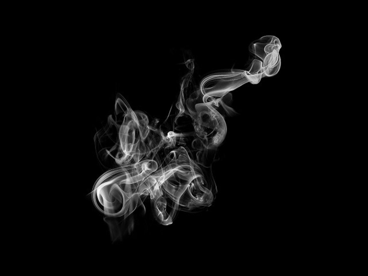 黑涩圣经动漫全集，神秘世界的深度探索