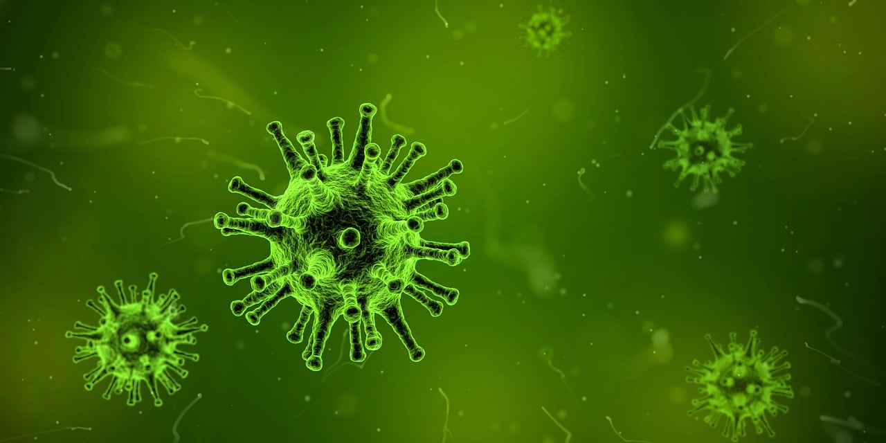 秋季流感治疗，全面解析与科学应对秋季流感治疗
