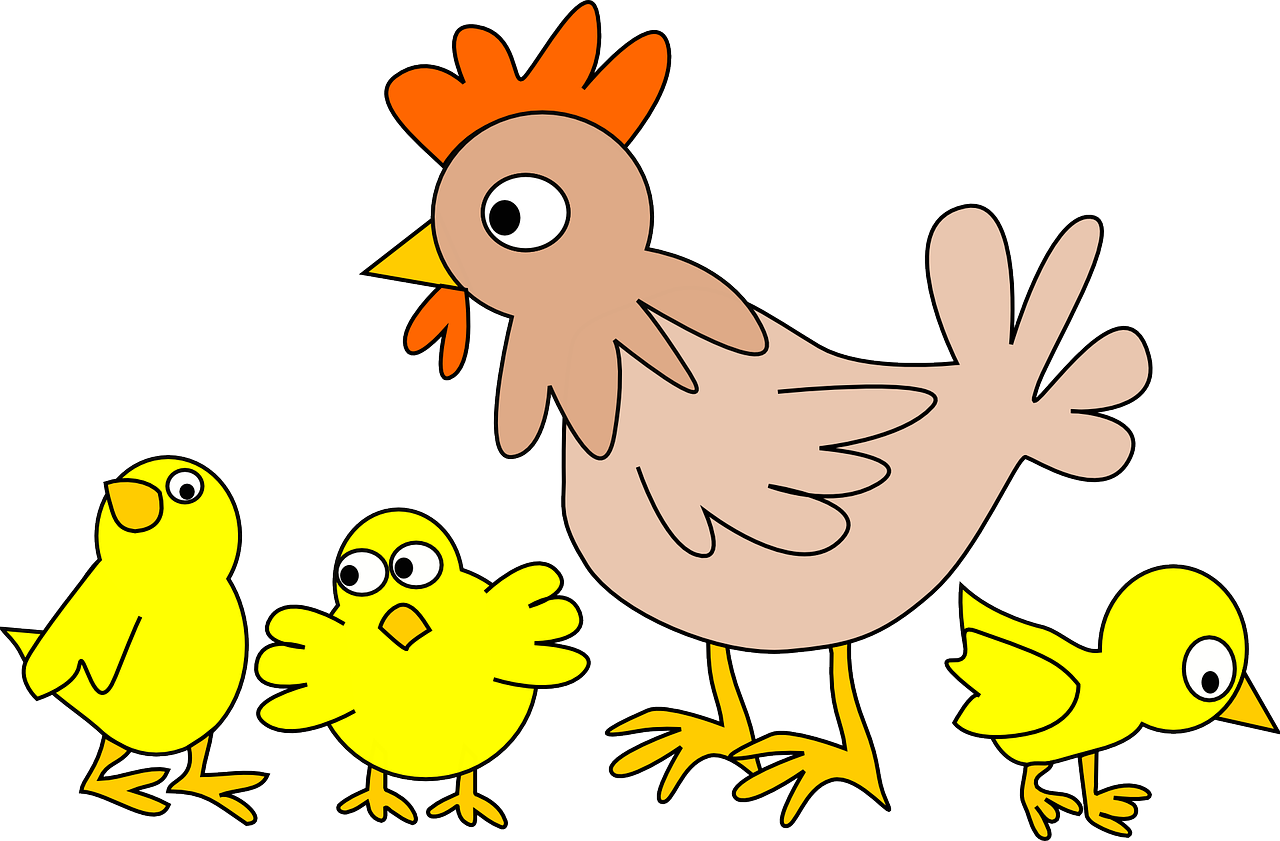 人感染H7N9禽流感，认识、预防与应对人感染h7n9禽流感