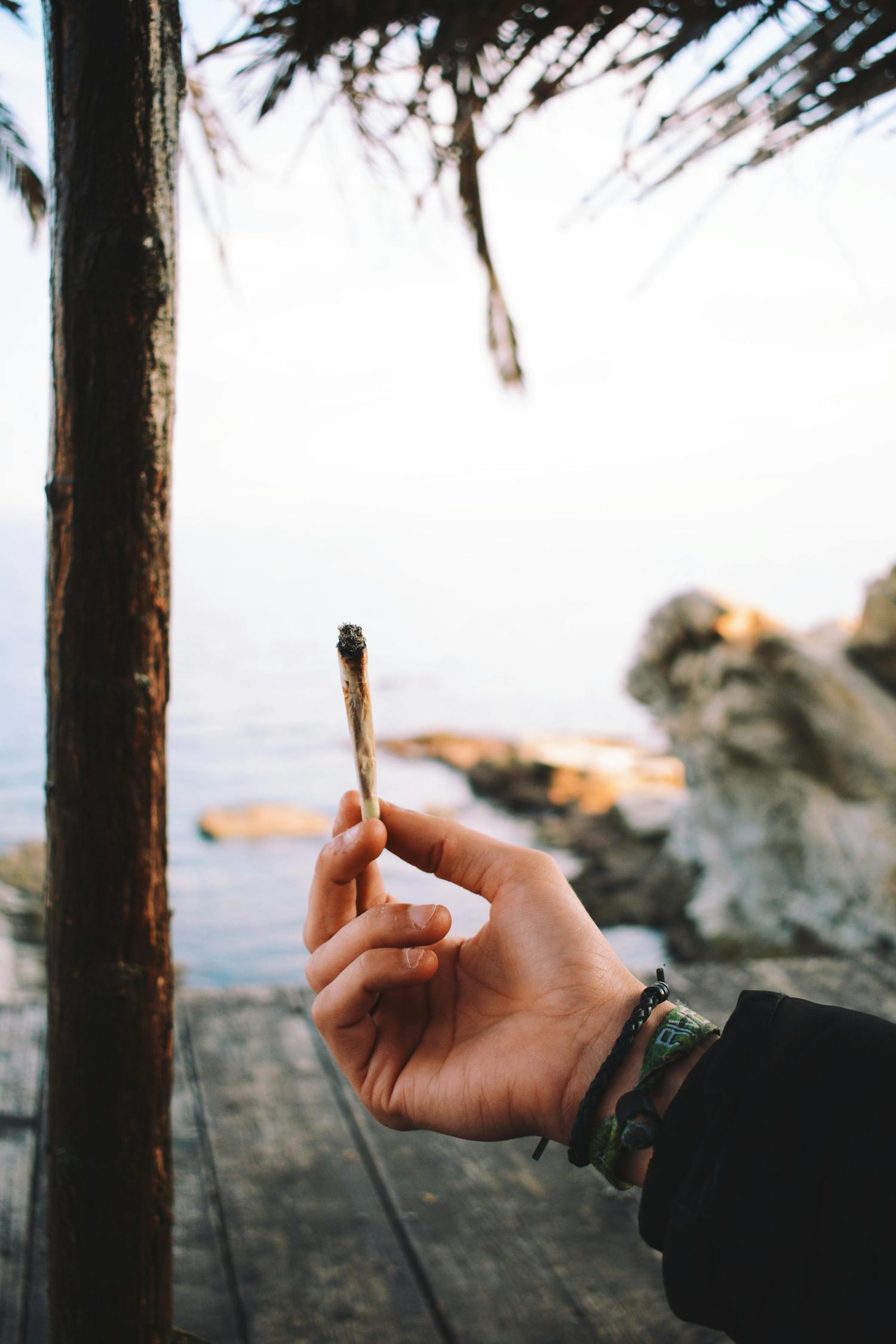 大流感中的好句与人生启示大流感好句