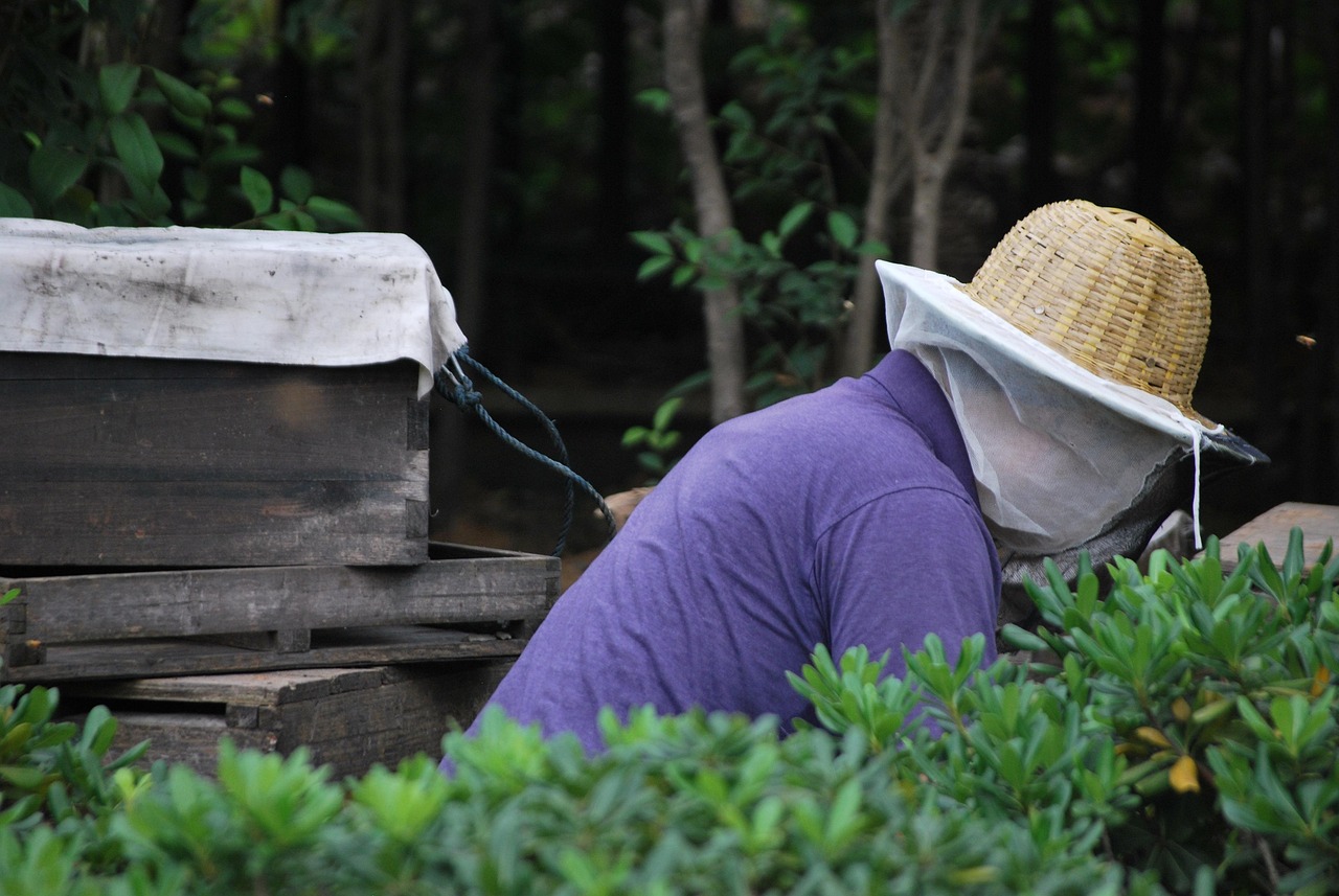 疫情下的甜蜜守护—蜂蜜的抗疫之路蜂蜜疫情