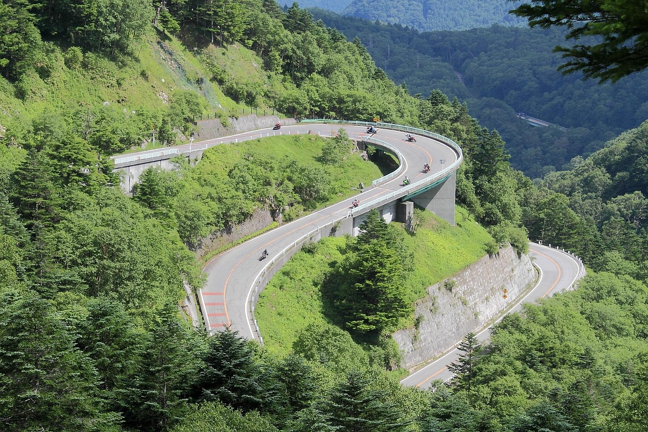 禽流感疫情下的遂川县禽流感遂川