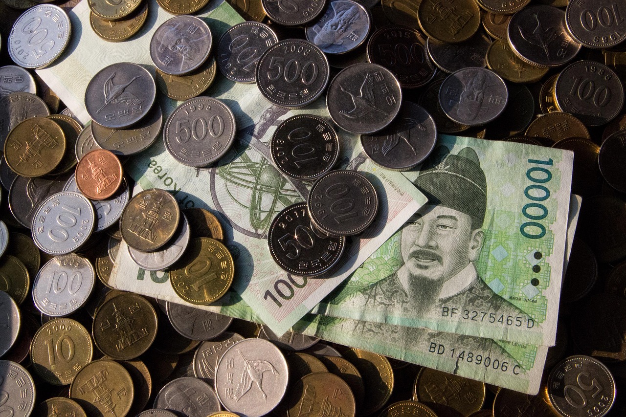 韩国灾难片流感的深度解析韩国灾难片流感