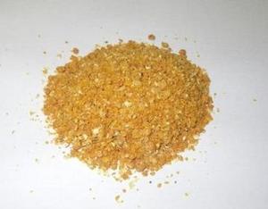 如何把握大连豆粕期权的投资机遇？这些机遇如何与市场趋势相结合？