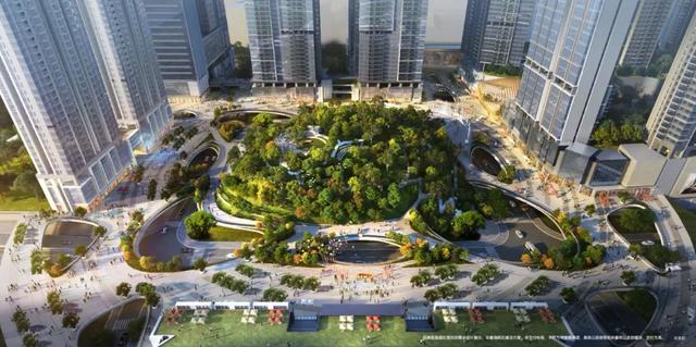 风向标来了！深圳“现象级”大盘入市