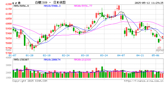 光大期货软商品类日报5.12