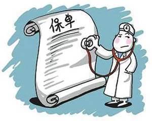 如何查询保单所属公司？查询方法和相关要点有哪些？